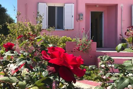 Pink House Villa Pesadha ภายนอก รูปภาพ
